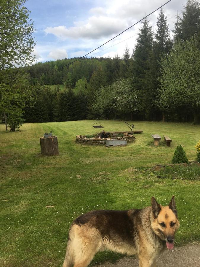 Bieszczadzka Sielanka Villa Wojtkowa ภายนอก รูปภาพ